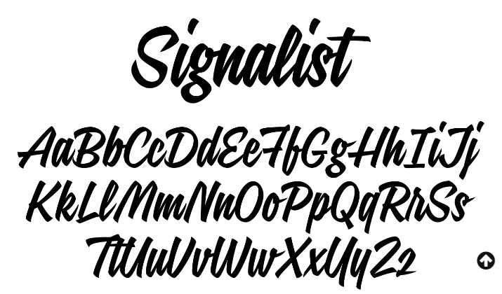 6. Brush Script