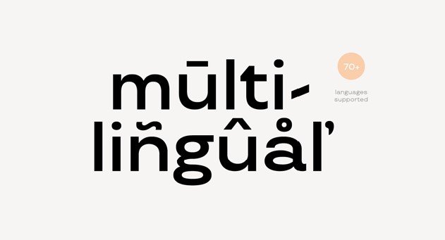 13 Best Multilingual Fonts