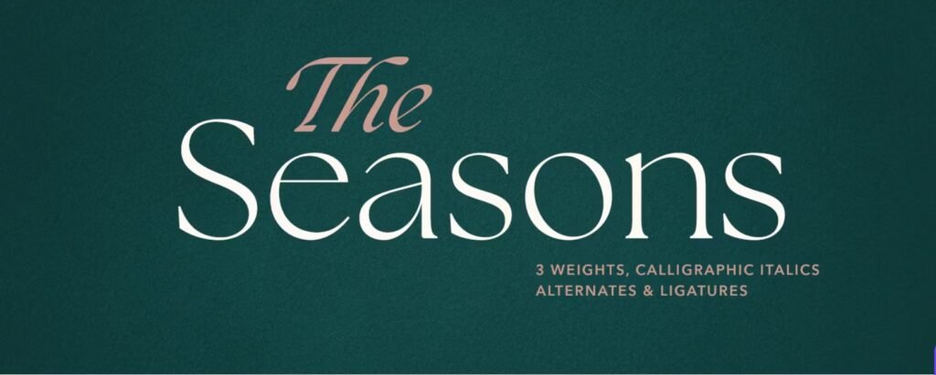 The Seasons Light Italic Font