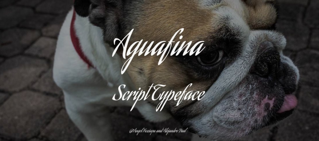 Aguafina Script Font