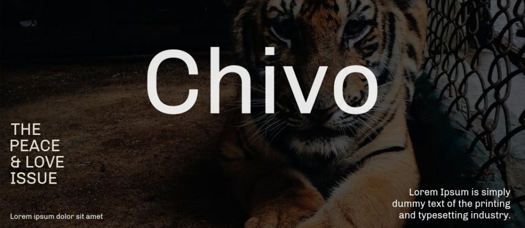 Chivo Font Family