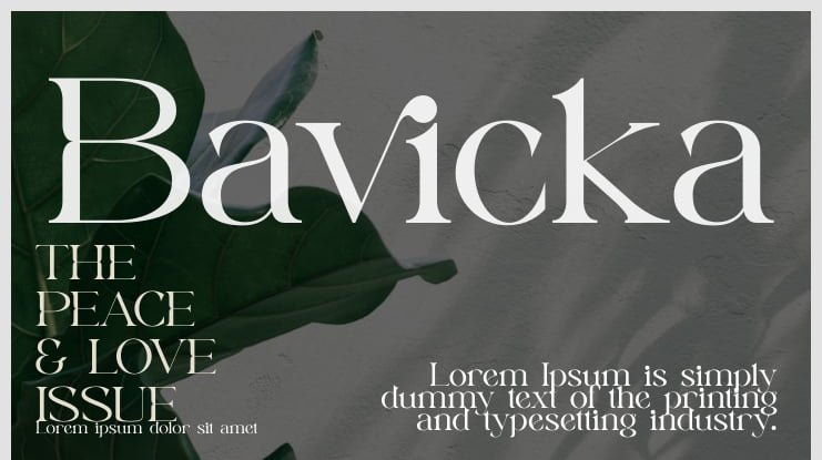 7. Bavicka – Stylish Ligature Font