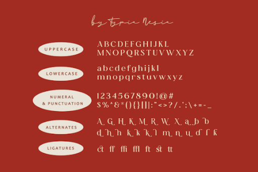 Minakoe – Beauty Aesthetic Serif Font