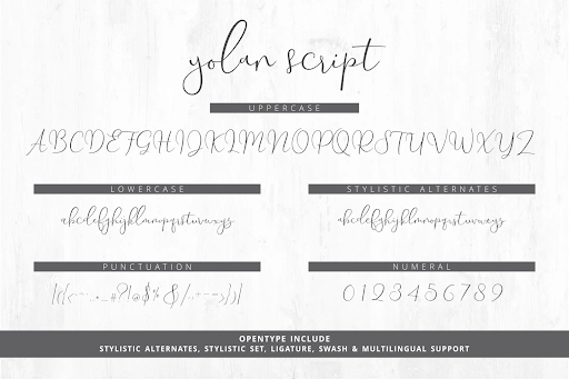 Yolan Unique Font