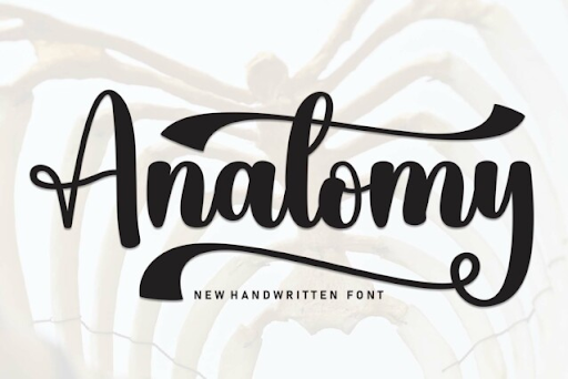 10. Anatomy Fonts