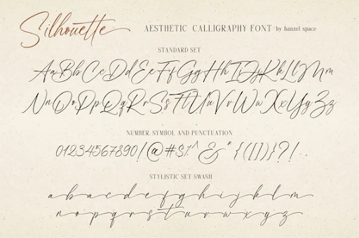 Silhouette – Aesthetic Calligraphy Font