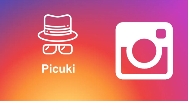 what is Picuki